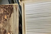 Signs Your Vehicle May Need Urgent Repairs Immediately