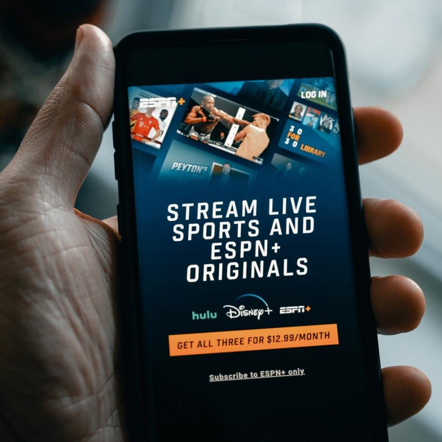 What Are The Best Streaming Services For Families