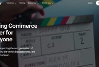 What Are The Best E-Commerce Platforms For Beginners