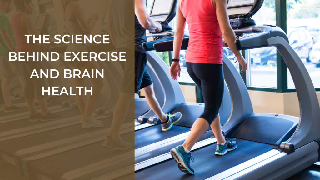 How Does Exercise Influence Brain Health And Function