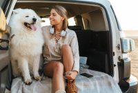 How To Safely Transport Pets In A Vehicle