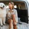 How To Safely Transport Pets In A Vehicle