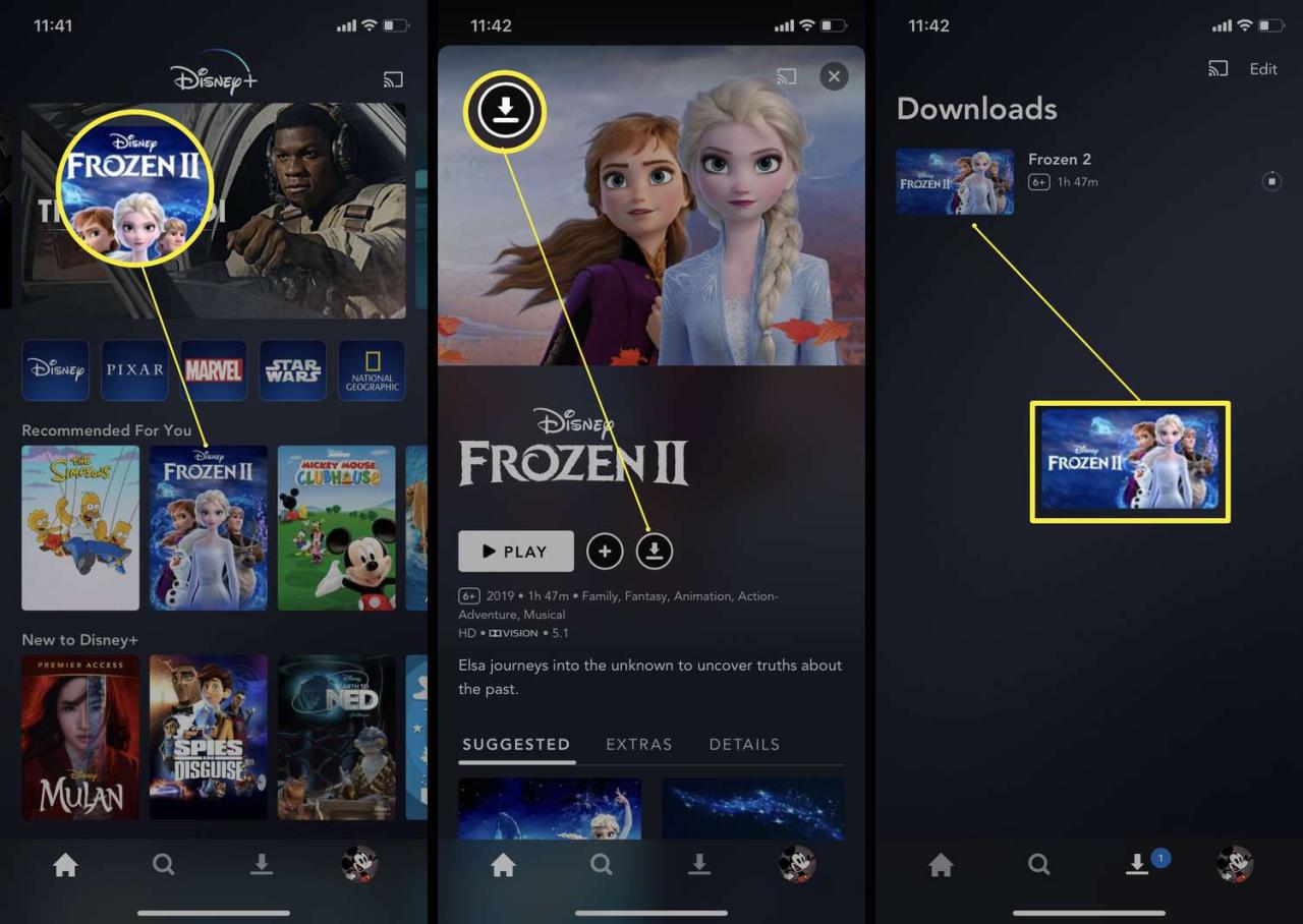 How To Download Movies For Offline Viewing