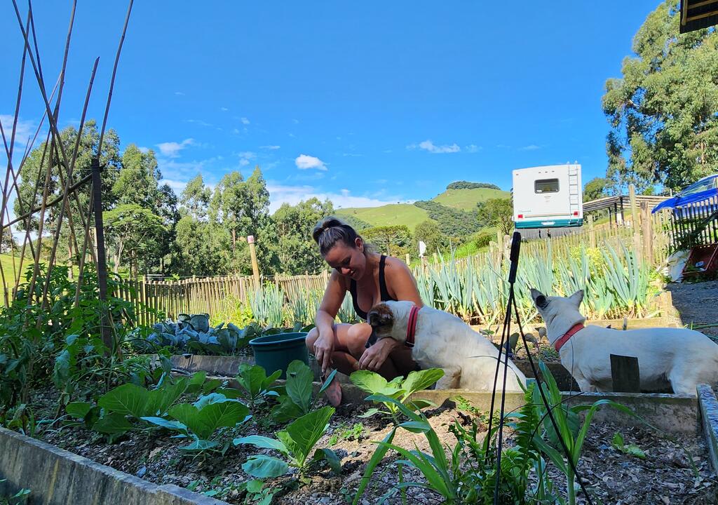 How To Find Local Experiences When Traveling Abroad