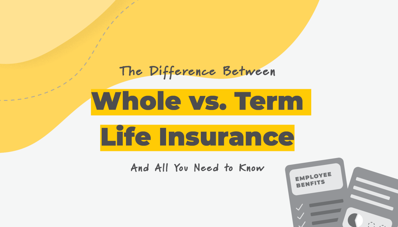 What Is The Difference Between Term And Whole Life Insurance