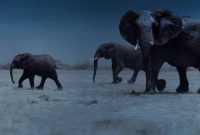 Best Documentaries To Stream Right Now