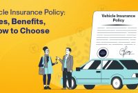 What Should I Know About Vehicle Insurance Options